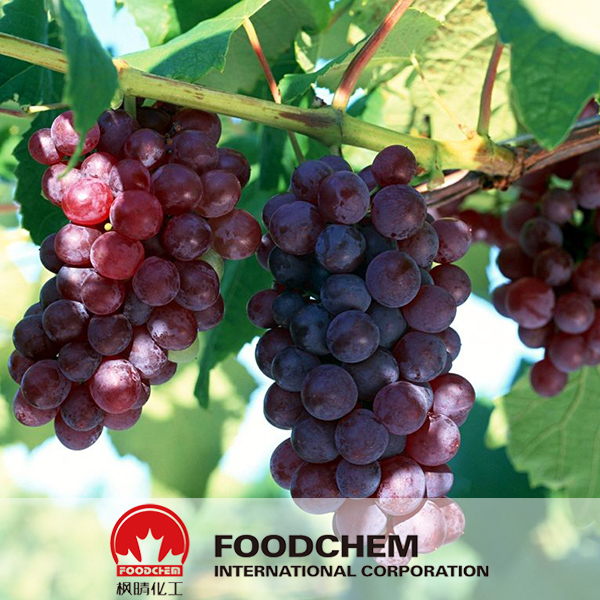 Grape Polyphenols