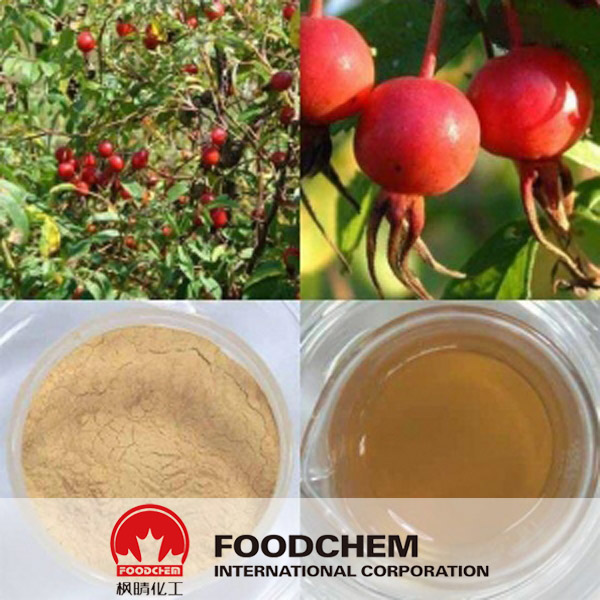 Rose Hip Extract